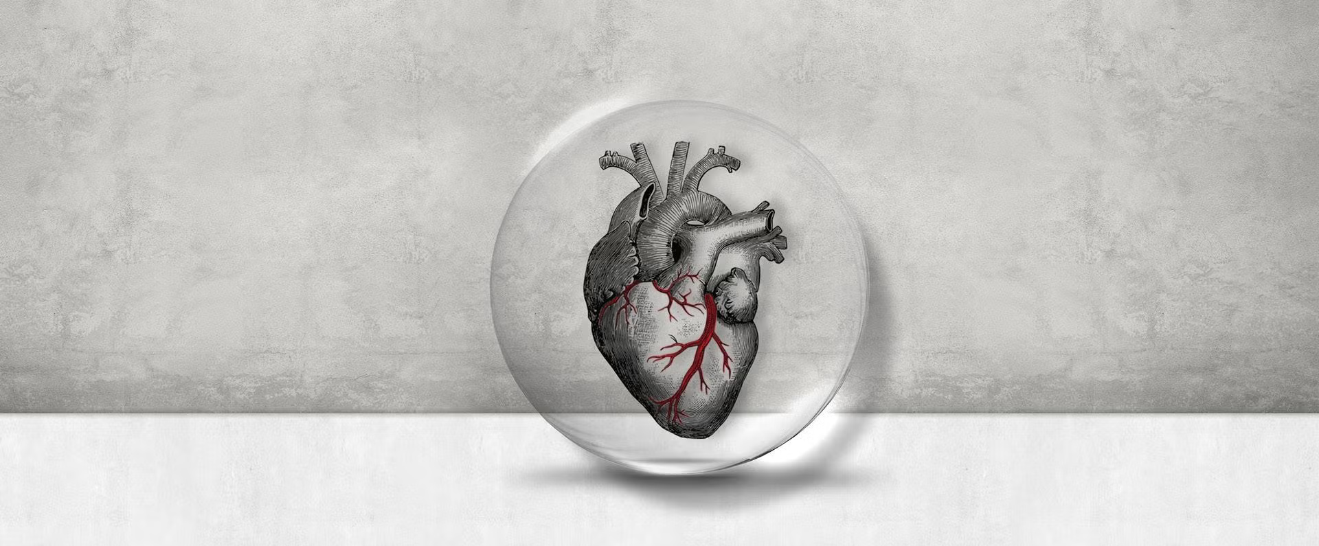 Poveznica zdravlja mozga i srca